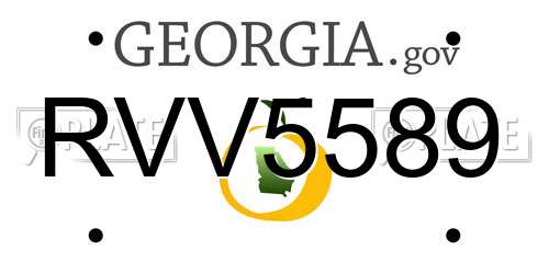 RVV5589 Georgia License Plate