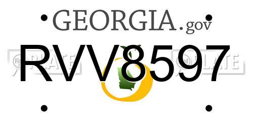 RVV8597 Georgia License Plate