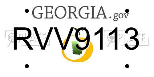 RVV9113 Georgia License Plate