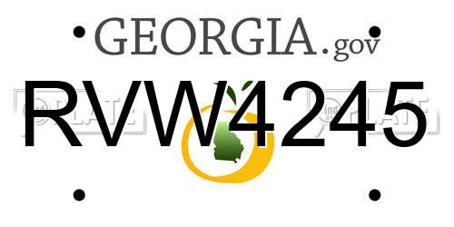 RVW4245 Georgia License Plate