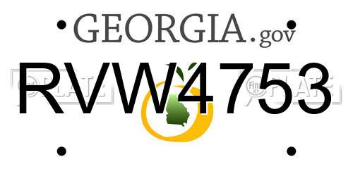 RVW4753 Georgia License Plate