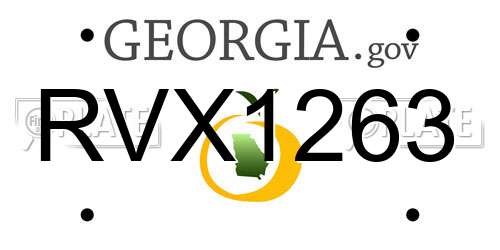 RVX1263 Georgia License Plate