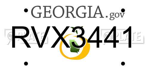 RVX3441 Georgia License Plate