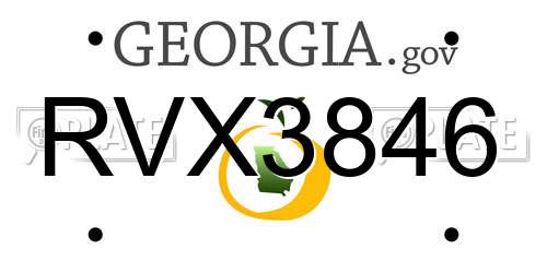 RVX3846 Georgia License Plate