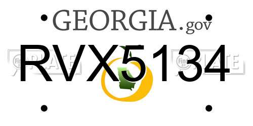 RVX5134 Georgia License Plate