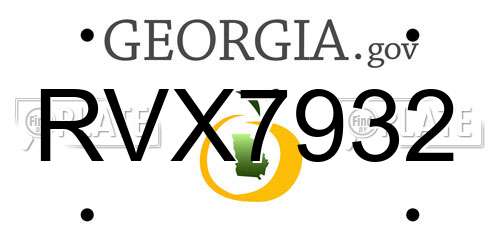 RVX7932 Georgia License Plate