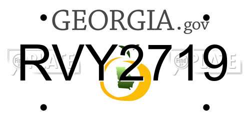 RVY2719 Georgia License Plate