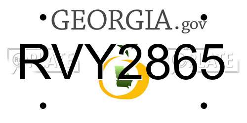 RVY2865 Georgia License Plate