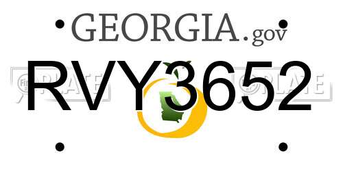 RVY3652 Georgia License Plate