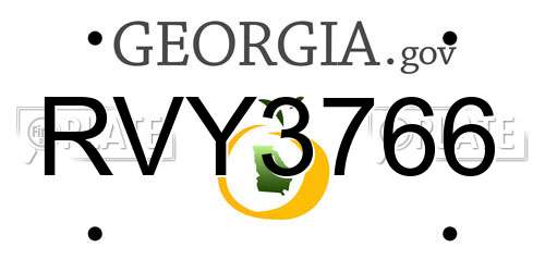 RVY3766 Georgia License Plate