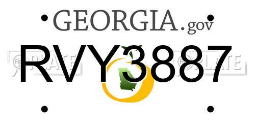 RVY3887 Georgia License Plate