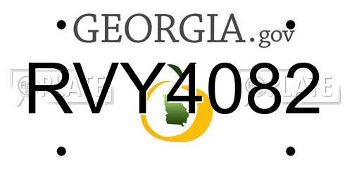 RVY4082 Georgia License Plate