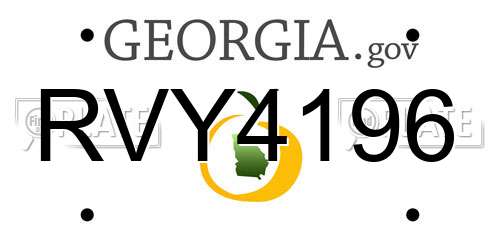 RVY4196 Georgia License Plate