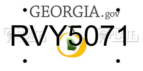 RVY5071 Georgia License Plate
