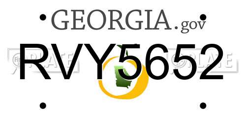 RVY5652 Georgia License Plate