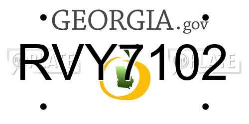 RVY7102 Georgia License Plate