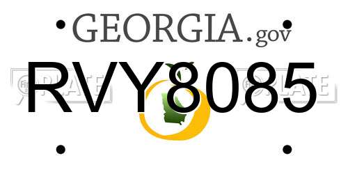 RVY8085 Georgia License Plate