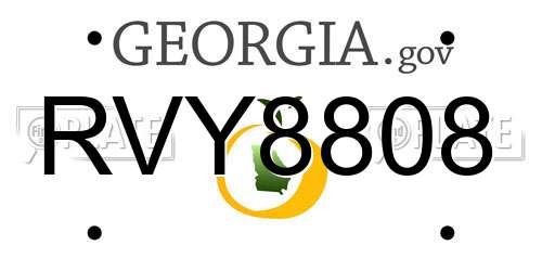 RVY8808 Georgia License Plate