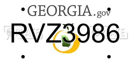 RVZ3986 Georgia License Plate