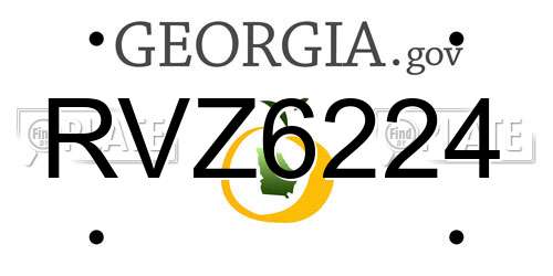 RVZ6224 Georgia License Plate