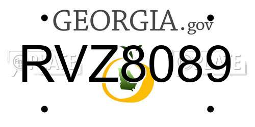 RVZ8089 Georgia License Plate