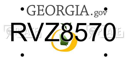 RVZ8570 Georgia License Plate