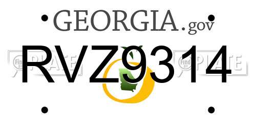 RVZ9314 Georgia License Plate