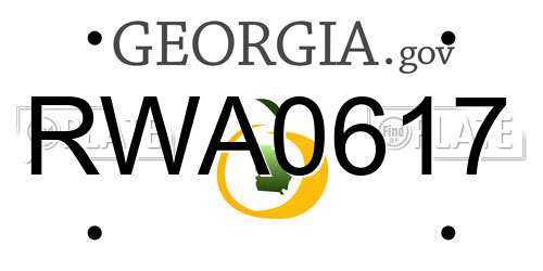 RWA0617 Georgia License Plate