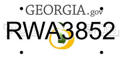 RWA3852 Georgia License Plate