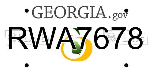 RWA7678 Georgia License Plate