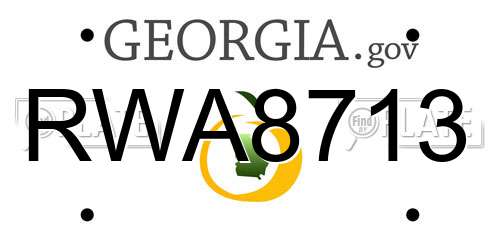 RWA8713 Georgia License Plate