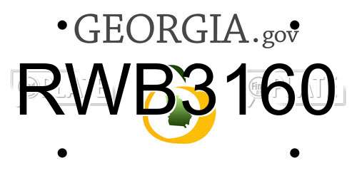 RWB3160 Georgia License Plate