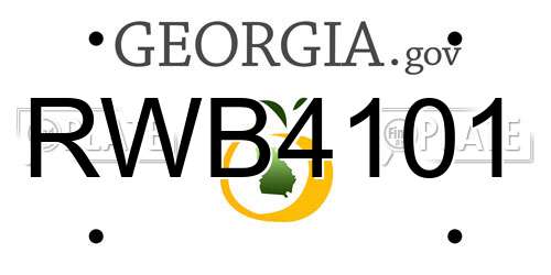 RWB4101 Georgia License Plate
