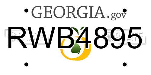 RWB4895 Georgia License Plate