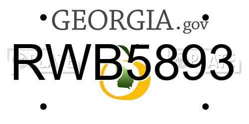 RWB5893 Georgia License Plate