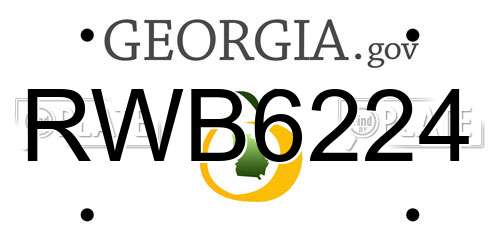 RWB6224 Georgia License Plate