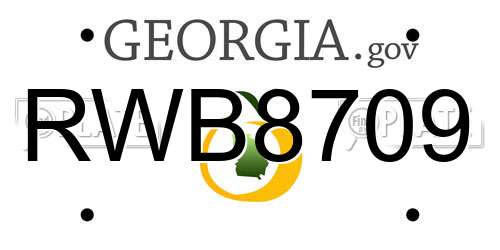 RWB8709 Georgia License Plate
