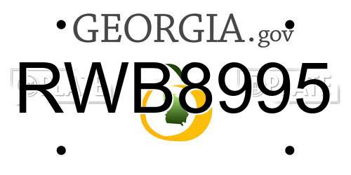 RWB8995 Georgia License Plate