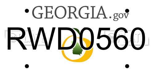 RWD0560 Georgia License Plate