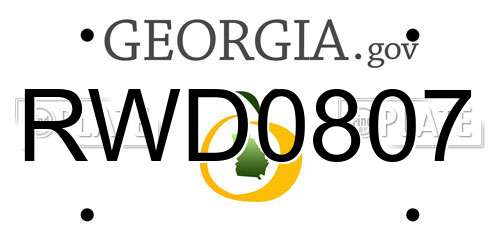 RWD0807 Georgia License Plate