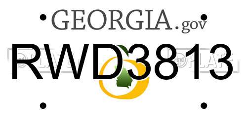 RWD3813 Georgia License Plate