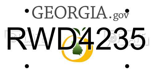 RWD4235 Georgia License Plate