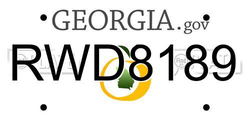 RWD8189 Georgia License Plate