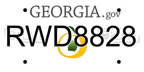 RWD8828 Georgia License Plate