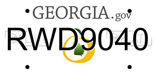 RWD9040 Georgia License Plate
