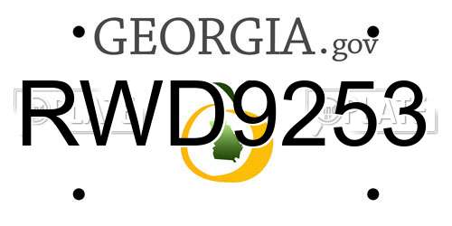 RWD9253 Georgia License Plate