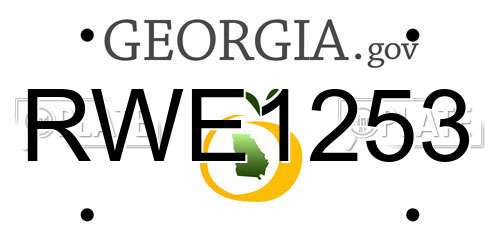 RWE1253 Georgia License Plate