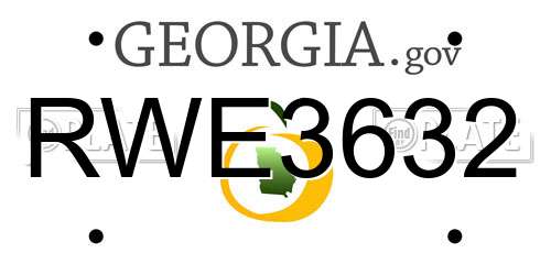 RWE3632 Georgia License Plate