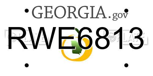 RWE6813 Georgia License Plate