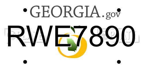 RWE7890 Georgia License Plate